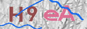 この文字を入力してください