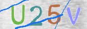 この文字を入力してください