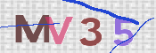 この文字を入力してください