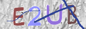 この文字を入力してください