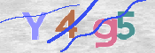 この文字を入力してください