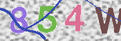 この文字を入力してください
