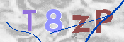 この文字を入力してください
