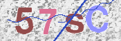この文字を入力してください