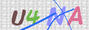 この文字を入力してください