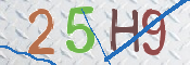 この文字を入力してください