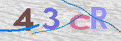 この文字を入力してください