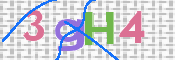 この文字を入力してください