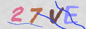 この文字を入力してください