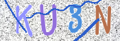 この文字を入力してください