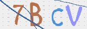 この文字を入力してください