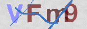 この文字を入力してください
