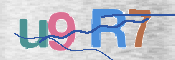 この文字を入力してください