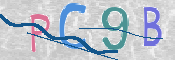 この文字を入力してください