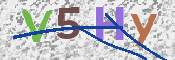この文字を入力してください