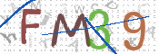 この文字を入力してください