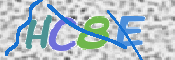 この文字を入力してください