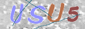 この文字を入力してください