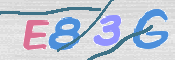 この文字を入力してください