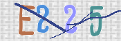 この文字を入力してください