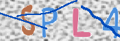 この文字を入力してください