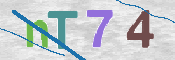 この文字を入力してください