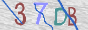 この文字を入力してください