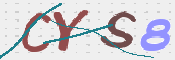 この文字を入力してください