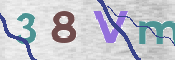 この文字を入力してください