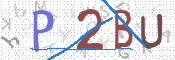この文字を入力してください