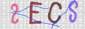 この文字を入力してください