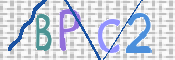 この文字を入力してください