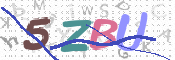 この文字を入力してください