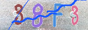 この文字を入力してください