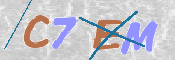 この文字を入力してください