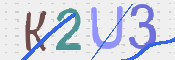 この文字を入力してください