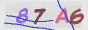 この文字を入力してください