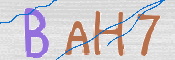 この文字を入力してください