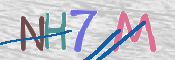 この文字を入力してください