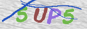 この文字を入力してください