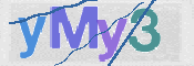 この文字を入力してください