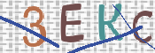 この文字を入力してください