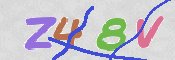 この文字を入力してください