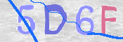 この文字を入力してください
