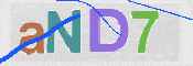 この文字を入力してください
