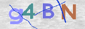 この文字を入力してください