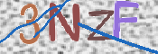 この文字を入力してください