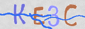 この文字を入力してください