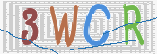 この文字を入力してください