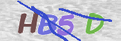 この文字を入力してください